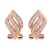 Premium quality fashion jewellery rose gold plated white zircon leaf earrings